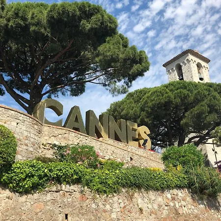 Gray D'albion 2bdr Flat 5 Min From Palais, On Croisette - Olam Cannes