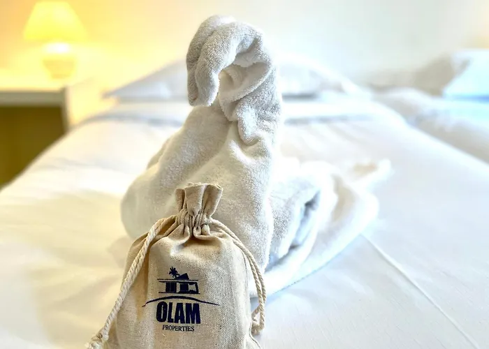 Gray D'albion 2bdr Flat 5 Min From Palais, On Croisette - Olam *